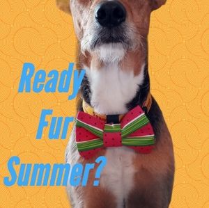 🍉Seller @madisynschultz